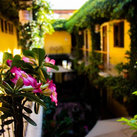 Hotel Dainzu Oaxaca Dış mekan fotoğraf