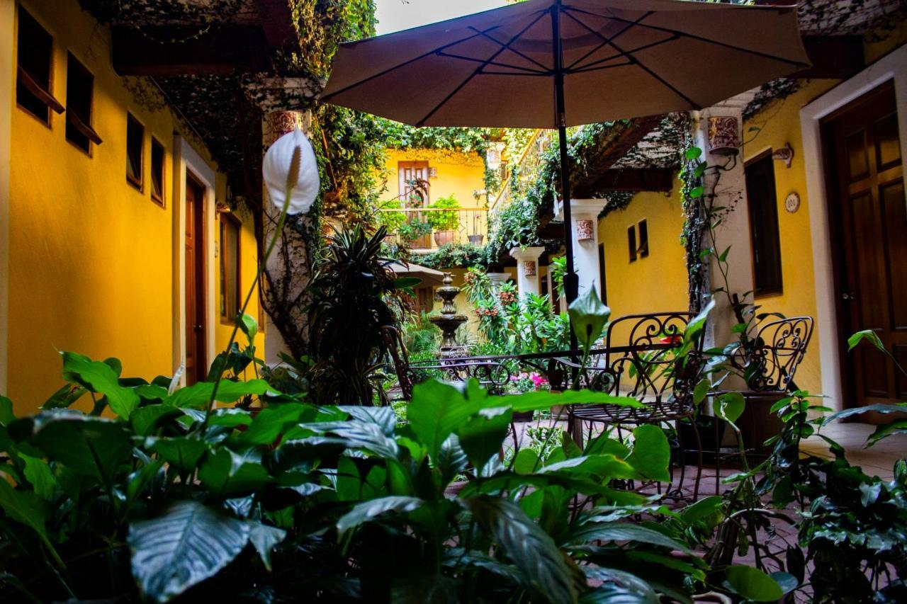 Hotel Dainzu Oaxaca Dış mekan fotoğraf