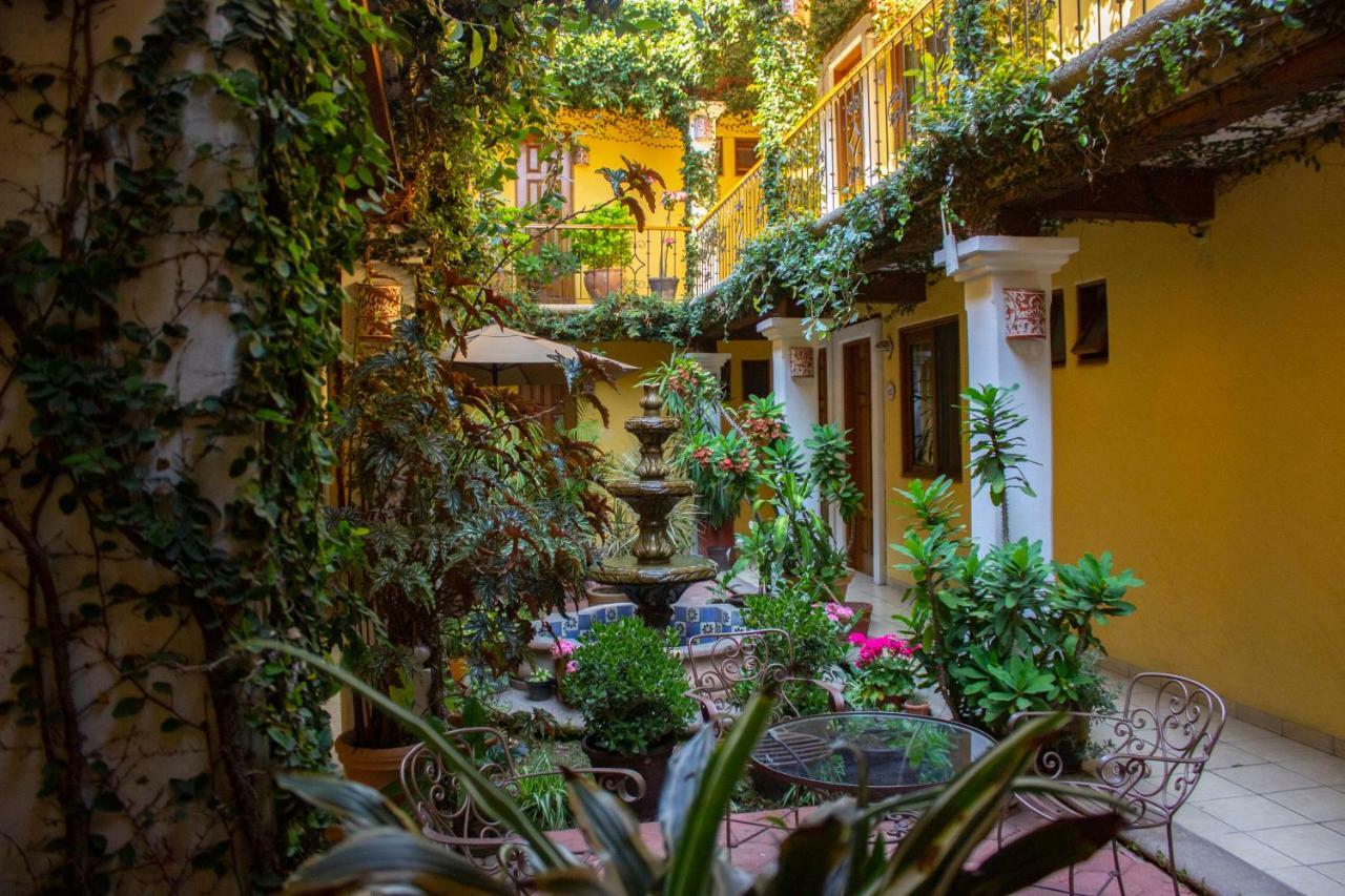 Hotel Dainzu Oaxaca Dış mekan fotoğraf