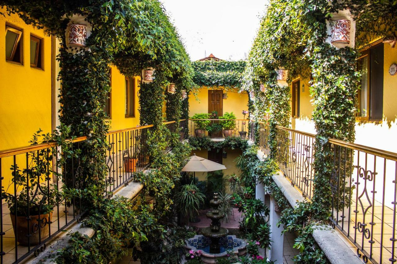 Hotel Dainzu Oaxaca Dış mekan fotoğraf