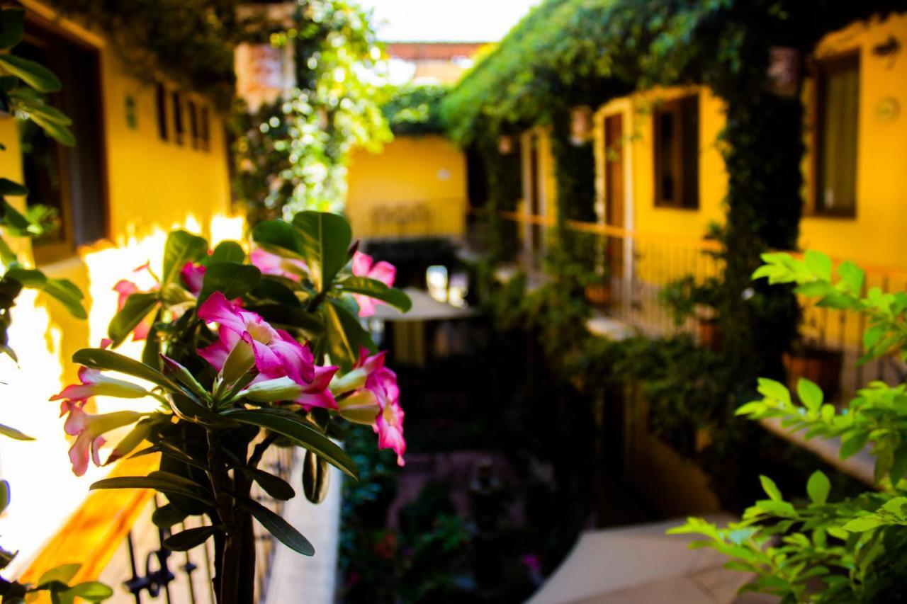 Hotel Dainzu Oaxaca Dış mekan fotoğraf